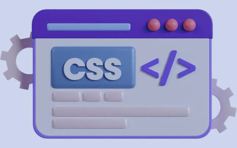 css study css study